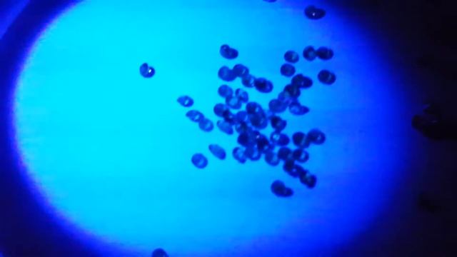 UV Test For Tsavorite Garnet vs Emerald, Demantoid смотреть онлайн