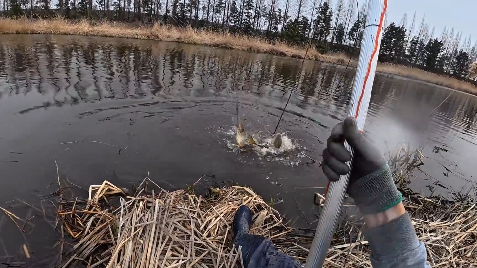 Крутая рыбалка на ПАУК подъёмник 🐠🐋🐟большая рыба 🐠🐋🐟
