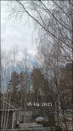 Птички поют, листочки растут 
18/04/2025
