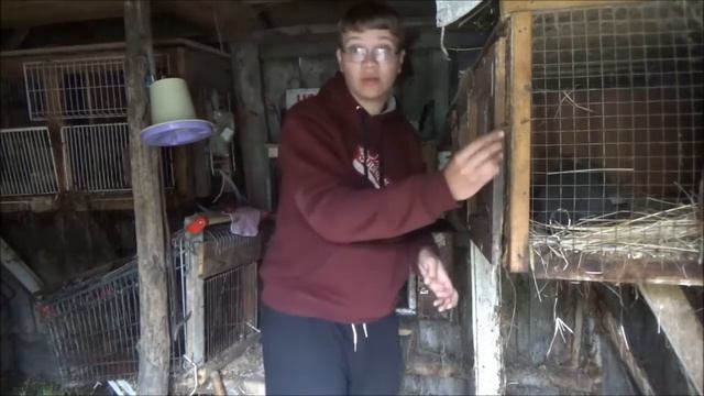 1# КРОЛИКИ НАЧАЛО смотреть онлайн