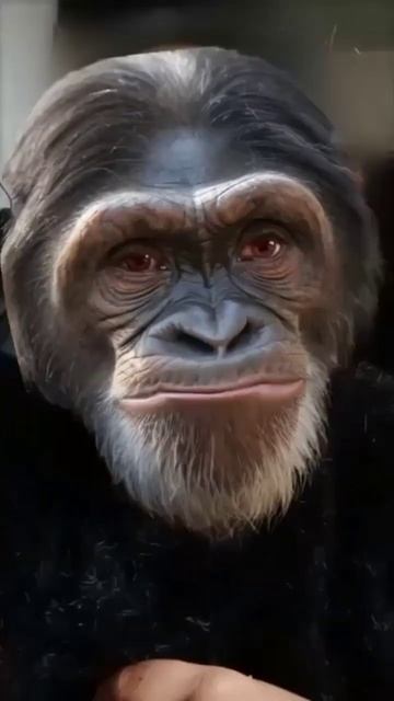 ищу тима в со2(id:10041889) смотреть онлайн