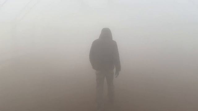 Автоматизированный питомник гортензий. Конвейер по наполнению горшков торфом. Автомат туманоподачи.
