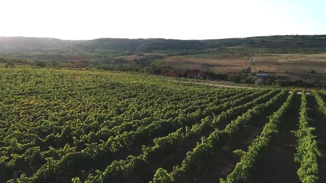 Болгария, Варна, село Генерал Кантарджиево элитный поселок Ecolife Village