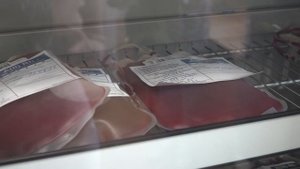 Сдать кровь может только человек. В округе массовой акцией по сдачи крови отметили День донора