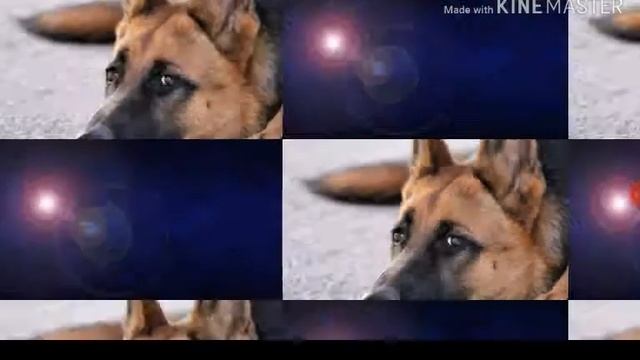 Кокое интро лучше смотреть онлайн