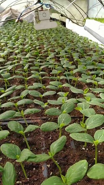 10 февраля 2022 г. смотреть онлайн