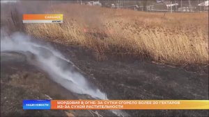 Мордовия в огне: за сутки сгорело более 20 гектаров из-за сухой растительности