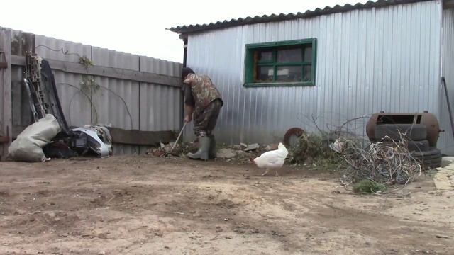 Здал металл и навёл порядок