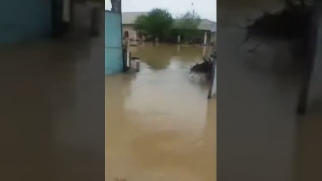 🇺🇿🔥САРДОБА.  1-савхоз