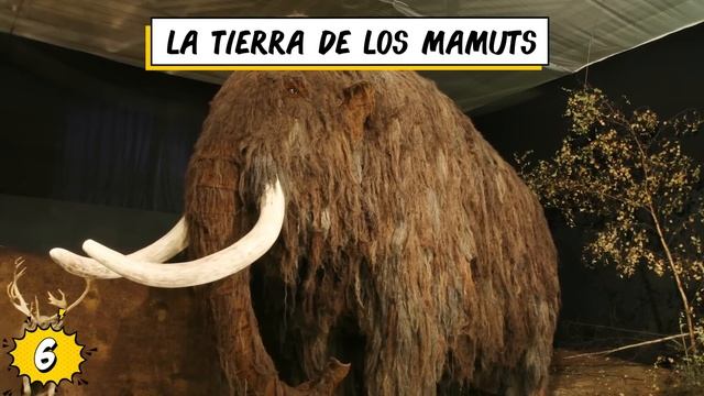 ¡10 Criaturas PREHISTÓRICAS Que Aún Podrían Existir! смотреть онлайн