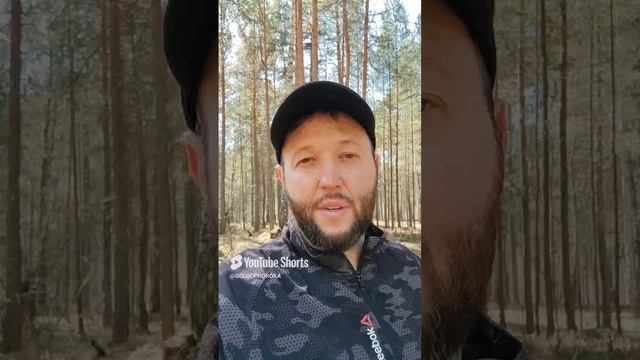 ПОЧЕМУ ВЕРУЮЩИЕ СНОВА ГРЕШАТ!? #голоспророка