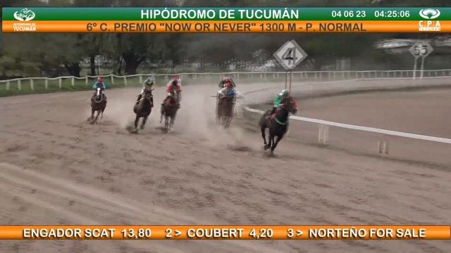 6ta. Carrera - Premio "NOW OR NEVER" - 1300 metros смотреть онлайн