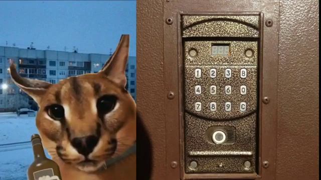 Твой домофон это: ШЛЁПА! смотреть онлайн