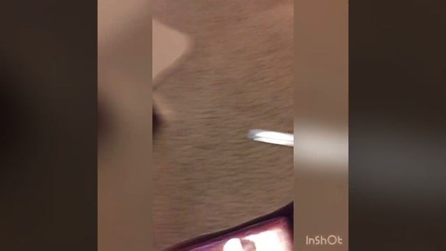 Red Apple Fireworks Sushi box opening and shooting смотреть онлайн