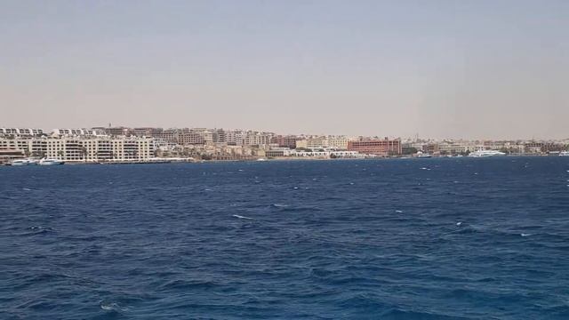 Морская прогулка Dolphin House Hurghada. Egypt. Red sea смотреть онлайн