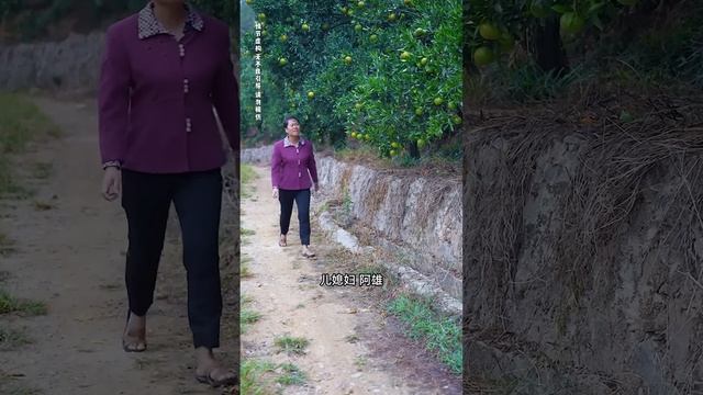 農村大嬸過生日孩子們都不在身邊，看到婆婆有如此孝順的媳婦，忍不住投來羨慕的眼神！【贞贞的英雄】 смотреть онлайн