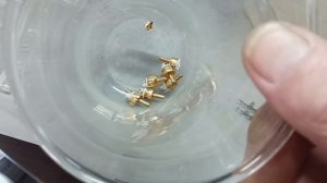 Тюльпанчики и золото!Миф или реальность🤔