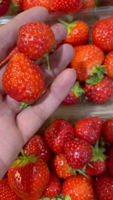 Фрукты овощи Ленинградский рынок#amazing#frutis#shorts#Черешня#Ананас#Клубника#Папайя#Персик#Малина смотреть онлайн