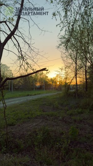 Миниобзор участка в Лесном Уюте у центральной дороги
