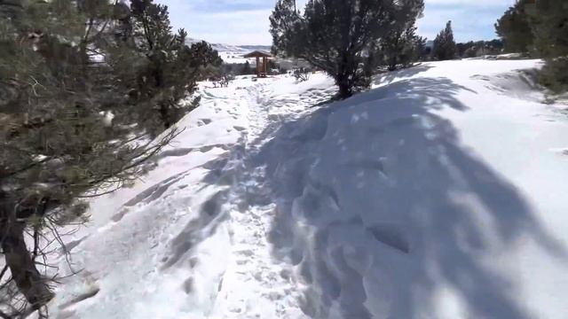 A Backcountry XC/Downhill Perspective on the Altai Hok Ski-Shoes