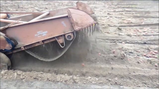Уборка каротфеля Трактором 2022