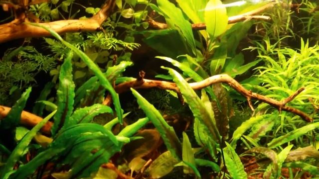 Эндлеры смотреть онлайн