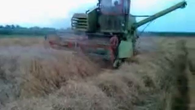Claas consul Zetva 2013 lozovik imanje Branislava Pantica