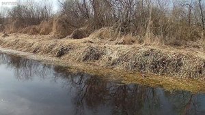 На сапборде