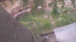 Удаление дерева вблизи строений