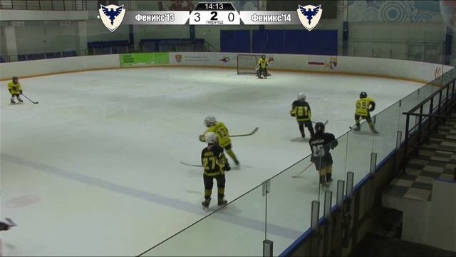 Феникс 2013 - Феникс 2014