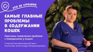 Это не страшно. Самые главные проблемы в содержании кошек