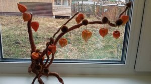 Делаем красоту сами♥️♥️♥️