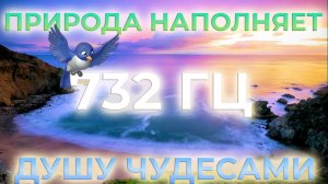 432 ГцУСПОКОЙ НЕРВЫ И РАЗУМТАЙНА ПРИРОДЫ И ПЕНИЕ ПТИЦ, ОТКРОЙ ДВЕРИ К ЧУДЕСАМ