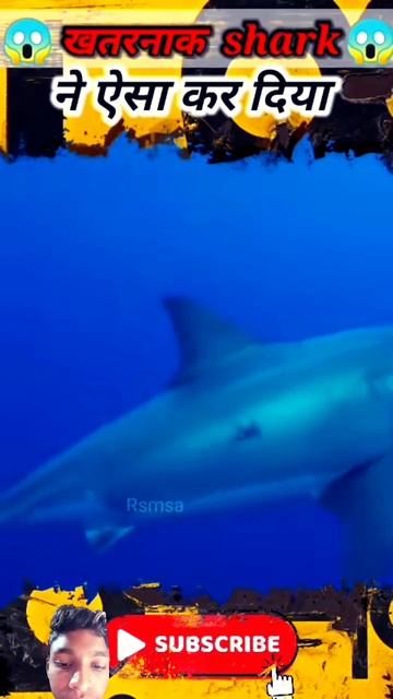 #sharks #stre🦈🦈👍 смотреть онлайн