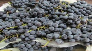 Как заморозить виноград