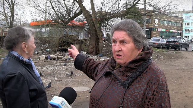 Свалка в Артиллерийском переулке Твери