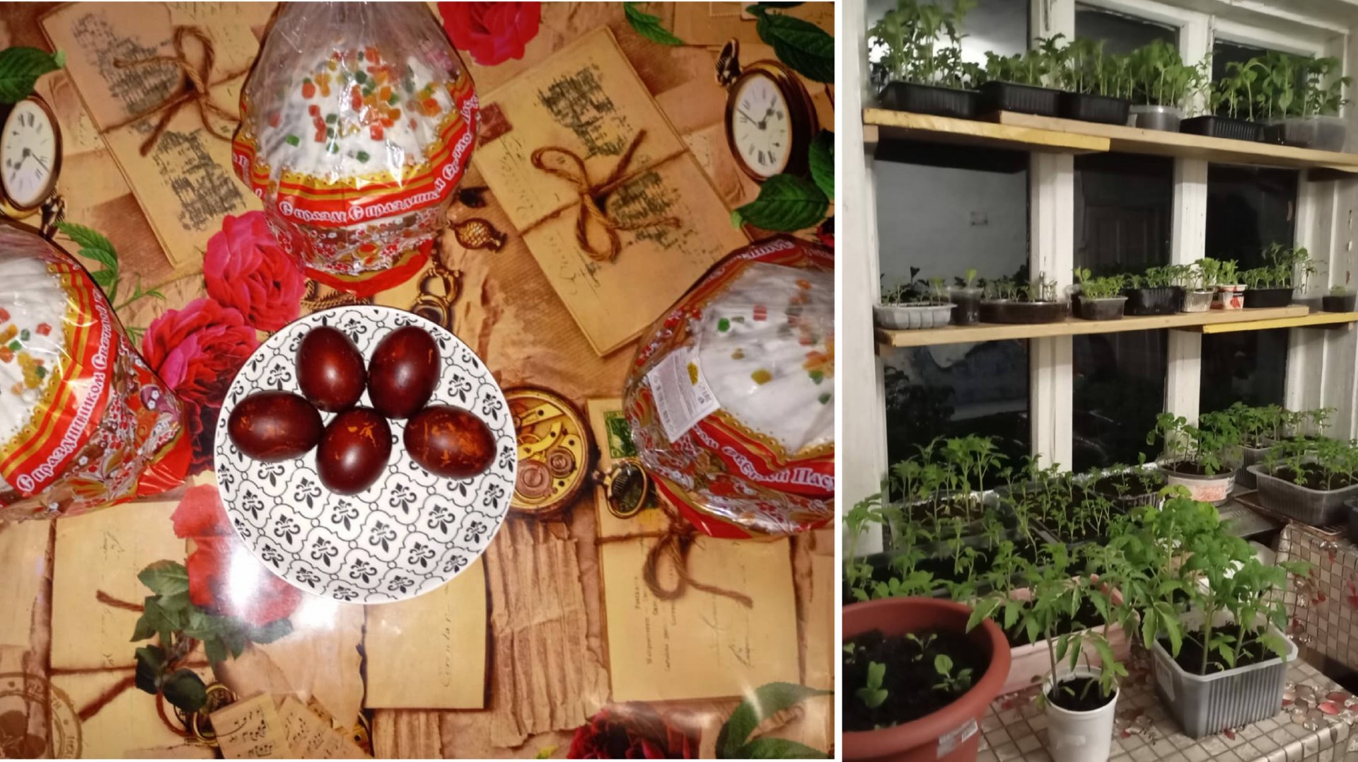 17-18.04.25 г. Моя рассада. Не теряйте меня...могу пропасть смотреть онлайн