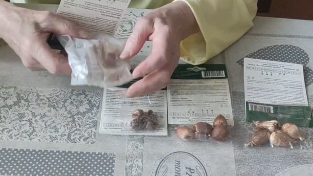 Цветы.  Луковичные из Фикспрайса.