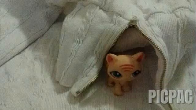 Кошка против Пончика смотреть онлайн