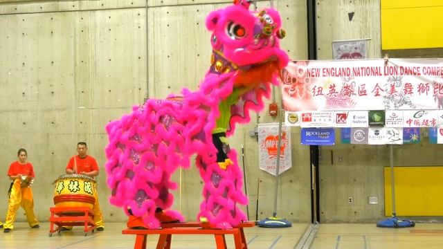 2016 Monkey and Lion Dance Performance - Boston Chinatown Main Street Community & Competition Event смотреть онлайн
