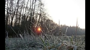 ОТВЕТ НА ЯСНОВИДЕНИЕ ОТ РОЗАЛИИ..