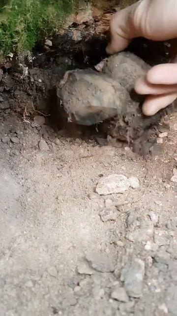 Smoky quartz and orthoklas from Sætre Norway 🇳🇴 смотреть онлайн