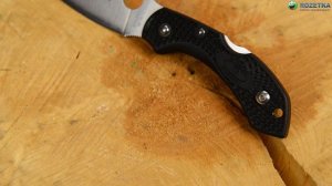 Обзор карманного ножа Spyderco Dragonfly 2
