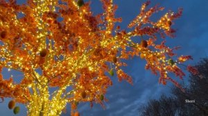 Москва 17.04. 2025 , 8 часов вечера,  Канун Страстной Пятницы