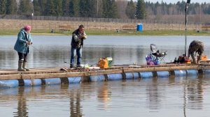 Поимки форели !!!