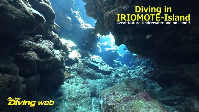 Diving in IRIOMOTE Island смотреть онлайн