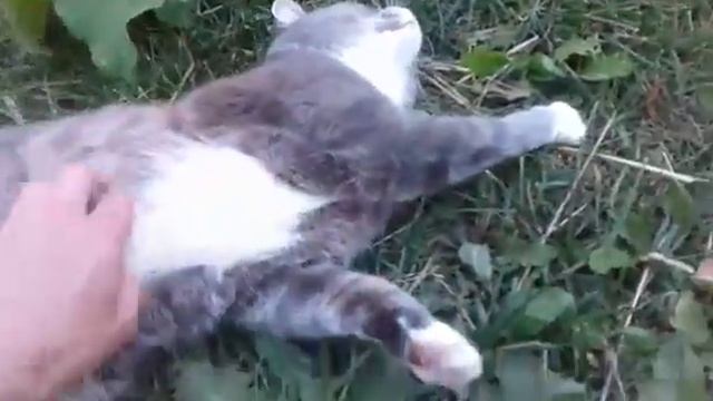 Как мы гуляем с детьми смотреть онлайн