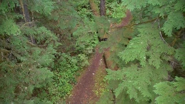 NW Forest Canopy Research-12 , USA, WRCCRF. Кран крона леса (61sp) смотреть онлайн