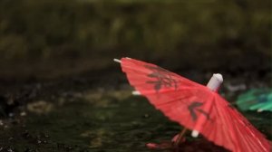 Stop motion military madness | Toy Soldiers by Georgia Oakley | Short Film | Random Acts