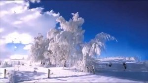 Группа " Кирзавод".   " Ивушки вы ивушки."